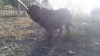 Filename=duque3.jpg
Filesize=111KiB
Dimensions=960x540
Date added=%795 %07, %2014 duque3.jpg
