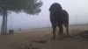 Filename=duque_de_la_rabiza1.jpg
Filesize=61KiB
Dimensions=960x540
Date added=%089 %24, %2015 duque_de_la_rabiza1.jpg