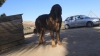 Filename=duque_de_la_rabiza2.jpg
Filesize=73KiB
Dimensions=960x540
Date added=%088 %24, %2015 duque_de_la_rabiza2.jpg