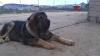 Filename=duque_de_la_rabiza3.jpg
Filesize=90KiB
Dimensions=960x540
Date added=%087 %24, %2015 duque_de_la_rabiza3.jpg