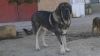 Filename=duque~2.jpg
Filesize=64KiB
Dimensions=960x540
Date added=%375 %21, %2019 duque~2.jpg
