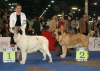 Filename=eds-champion_females,.jpg
Filesize=50KiB
Dimensions=670x482
Date added=%540 %06, %2008 eds-champion_females,.jpg
