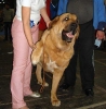 Filename=eds-neron.jpg
Filesize=35KiB
Dimensions=502x510
Date added=%536 %06, %2008 eds-neron.jpg