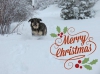 Filename=eeva_xmas_fra_fb.jpg
Filesize=36KiB
Dimensions=526x394
Date added=%983 %20, %2014 eeva_xmas_fra_fb.jpg
