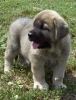 Filename=ek_27.jpg
Filesize=41KiB
Dimensions=500x652
Date added=%818 %27, %2006 ek_27.jpg