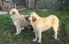 Filename=ek_39.jpg
Filesize=9KiB
Dimensions=288x187
Date added=%727 %27, %2006 ek_39.jpg