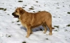 Filename=ek_53.jpg
Filesize=16KiB
Dimensions=500x314
Date added=%821 %27, %2006 ek_53.jpg