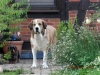 Filename=emmilie2.jpg
Filesize=120KiB
Dimensions=960x720
Date added=%895 %09, %2013 emmilie2.jpg