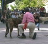 Filename=endrina-back.jpg
Filesize=70KiB
Dimensions=800x723
Date added=%396 %17, %2006 endrina-back.jpg