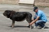 Filename=enny_de_tierra_de_orbigo.jpg
Filesize=119KiB
Dimensions=1000x651
Date added=%870 %05, %2015 enny_de_tierra_de_orbigo.jpg