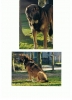 Filename=erwin3.jpg
Filesize=67KiB
Dimensions=698x960
Date added=%533 %31, %2013 erwin3.jpg