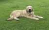 Filename=estrella.jpg
Filesize=98KiB
Dimensions=1000x626
Date added=%858 %01, %2007 estrella.jpg
