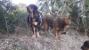 Filename=estrella1.jpg
Filesize=143KiB
Dimensions=960x540
Date added=%719 %08, %2014 estrella1.jpg