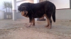 Filename=etrella1.jpg
Filesize=77KiB
Dimensions=960x540
Date added=%100 %24, %2015 etrella1.jpg