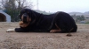 Filename=etrella2.jpg
Filesize=92KiB
Dimensions=960x540
Date added=%100 %24, %2015 etrella2.jpg