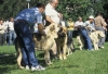 Filename=fatima-og-gruppe.jpg
Filesize=56KiB
Dimensions=600x412
Date added=%423 %06, %2006 fatima-og-gruppe.jpg
