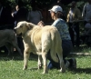 Filename=fatima.jpg
Filesize=48KiB
Dimensions=593x518
Date added=%417 %06, %2006 fatima.jpg