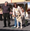 Filename=fatima2.jpg
Filesize=42KiB
Dimensions=593x600
Date added=%955 %01, %2006 fatima2.jpg