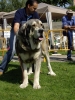 Filename=fernando.jpg
Filesize=150KiB
Dimensions=825x1100
Date added=%530 %16, %2007 fernando.jpg