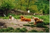 Filename=fidalgogroup.jpg
Filesize=28KiB
Dimensions=400x267
Date added=%723 %13, %2006 fidalgogroup.jpg
