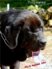 Filename=folgueras.jpg
Filesize=42KiB
Dimensions=363x480
Date added=%858 %23, %2009 folgueras.jpg
