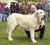 fuentemimbre.jpg