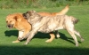 Filename=g%2Bu0.jpg
Filesize=46KiB
Dimensions=640x397
Date added=%632 %03, %2007 g%2Bu0.jpg