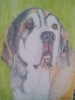 Filename=gerda.jpg
Filesize=125KiB
Dimensions=720x960
Date added=%889 %09, %2014 gerda.jpg