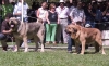 Filename=grey-y-ron.jpg
Filesize=69KiB
Dimensions=800x490
Date added=%878 %25, %2006 grey-y-ron.jpg