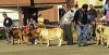 Filename=group%7E0.jpg
Filesize=40KiB
Dimensions=400x207
Date added=%798 %20, %2006 group%7E0.jpg