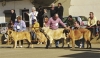 Filename=group.jpg
Filesize=32KiB
Dimensions=400x232
Date added=%776 %19, %2006 group.jpg