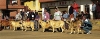 Filename=group2%7E0.jpg
Filesize=32KiB
Dimensions=400x156
Date added=%799 %20, %2006 group2%7E0.jpg