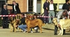 Filename=group3%7E0.jpg
Filesize=42KiB
Dimensions=400x218
Date added=%804 %20, %2006 group3%7E0.jpg