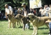 Filename=gruppe-m-autocan.jpg
Filesize=58KiB
Dimensions=600x415
Date added=%421 %06, %2006 gruppe-m-autocan.jpg