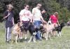 Filename=gruppe.jpg
Filesize=48KiB
Dimensions=400x283
Date added=%666 %26, %2006 gruppe.jpg