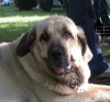 Filename=head-c.jpg
Filesize=53KiB
Dimensions=800x750
Date added=%950 %24, %2006 head-c.jpg