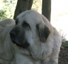 Filename=head-e.jpg
Filesize=35KiB
Dimensions=800x759
Date added=%949 %24, %2006 head-e.jpg