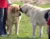 Filename=heidy,zazi-hlucin.jpg
Filesize=44KiB
Dimensions=536x425
Date added=%355 %17, %2006 heidy,zazi-hlucin.jpg