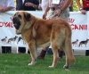 Filename=hercules.jpg
Filesize=44KiB
Dimensions=597x498
Date added=%594 %26, %2006 hercules.jpg