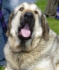 Filename=hlucin-face2.jpg
Filesize=42KiB
Dimensions=424x500
Date added=%807 %10, %2006 hlucin-face2.jpg