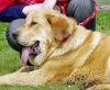 Filename=hlucin-heidy3.jpg
Filesize=42KiB
Dimensions=484x400
Date added=%795 %10, %2006 hlucin-heidy3.jpg