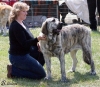Filename=hlucin09-jenny.jpg
Filesize=99KiB
Dimensions=648x567
Date added=%691 %14, %2009 hlucin09-jenny.jpg