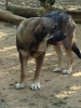 Filename=humpa-a.jpg
Filesize=94KiB
Dimensions=720x960
Date added=%395 %03, %2016 humpa-a.jpg