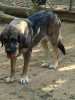 Filename=humpa.jpg
Filesize=88KiB
Dimensions=720x960
Date added=%396 %03, %2016 humpa.jpg
