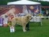 Filename=hungary_sultan_stor.jpg
Filesize=13KiB
Dimensions=320x240
Date added=%955 %16, %2006 hungary_sultan_stor.jpg