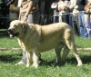 Filename=i-gruppe-m-fatima.jpg
Filesize=46KiB
Dimensions=504x432
Date added=%427 %06, %2006 i-gruppe-m-fatima.jpg