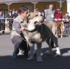 Filename=intermedia-macho.jpg
Filesize=40KiB
Dimensions=600x591
Date added=%994 %01, %2006 intermedia-macho.jpg