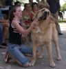 Filename=intfemale.jpg
Filesize=53KiB
Dimensions=770x800
Date added=%553 %20, %2006 intfemale.jpg