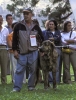 Filename=isidro-brindle.jpg
Filesize=33KiB
Dimensions=377x495
Date added=%426 %06, %2006 isidro-brindle.jpg