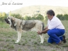 Filename=jara_de_laciana.jpg
Filesize=105KiB
Dimensions=960x720
Date added=%689 %08, %2015 jara_de_laciana.jpg